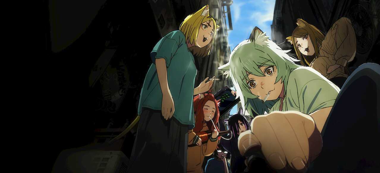 Yani Neko Subtitle Indonesia [Batch]