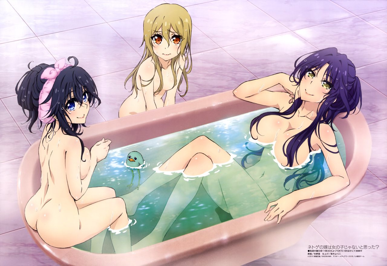 Netoge no Yome wa Onnanoko ja Nai to Omotta? Subtitle Indone